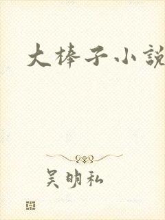 大棒子小说封面