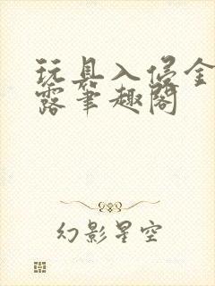 玩具入侵金银花露笔趣阁封面