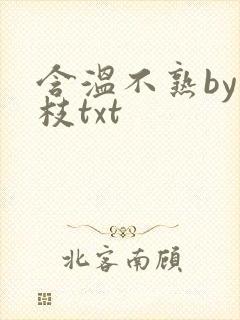 含温不熟by词枝txt封面
