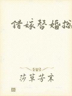 错嫁替婚总裁