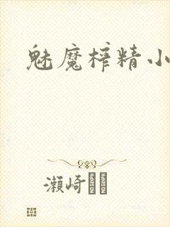 魅魔榨精小说封面