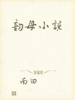 韵母小说