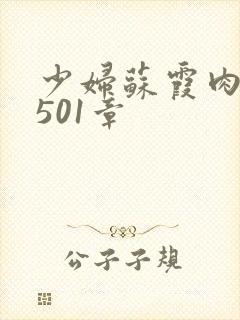 少妇苏霞肉欲第501章