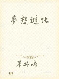 梦想进化