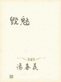 毁魅封面
