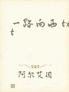 一路向西 txt封面
