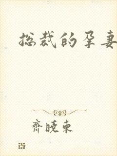 总裁的孕妻