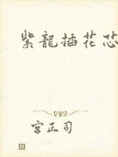 紫龙插花芯方正