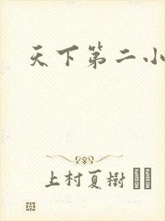 天下第二小说