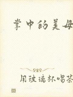 掌中的美母封面