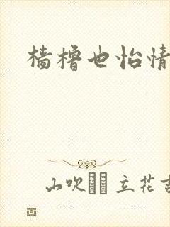 樯橹也怡情封面