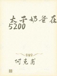 太子奶爸在花都5200