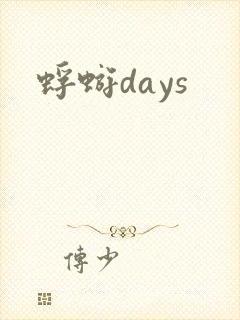 蜉蝣days封面