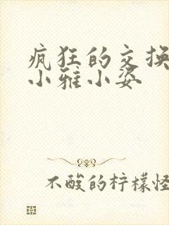 疯狂的交换小静小雅小姿