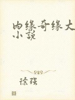 内缘奇缘大团圆小说