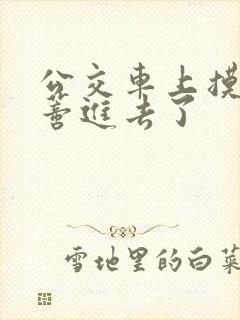 公交车上摸到花蒂进去了