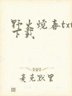野火烧春txt下载