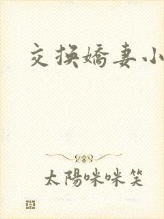 交换娇妻小说