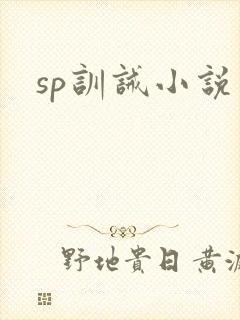sp训诫小说