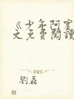 《少年阿宾》全文免费阅读