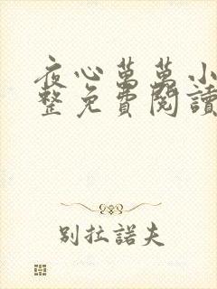 夜心万万小说完整免费阅读全文
