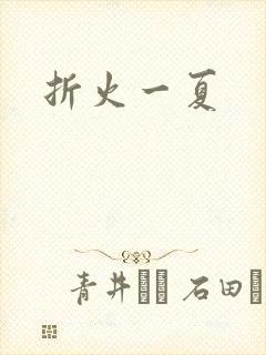 折火一夏封面