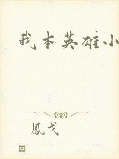 我本英雄小说