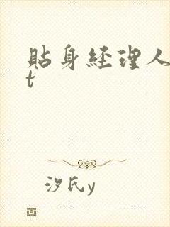贴身经理人txt封面