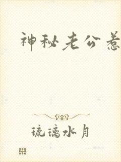 神秘老公惹不起