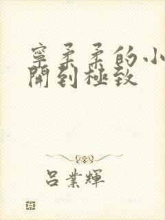 宁柔柔的小泬撑开到极致