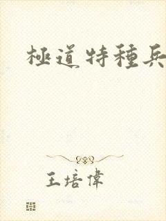 极道特种兵
