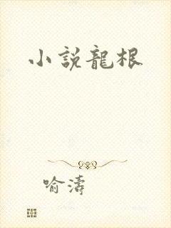 小说龙根