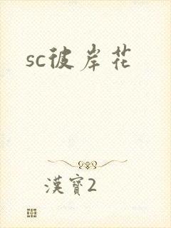 sc彼岸花封面