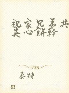 祝家兄弟共享后夹心饼干