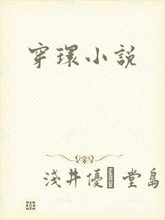 穿环小说