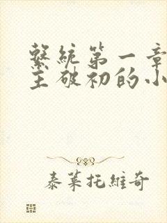 系统第一章给宿主破初的小说