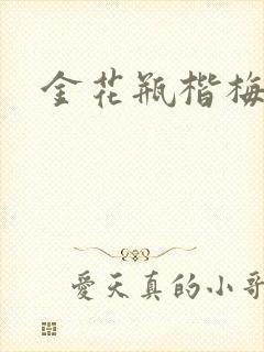 金花瓶楷梅花2