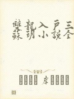 双龙入户三人行苏玥小说全文阅读