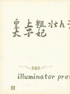皇上粗壮h灌满太子妃