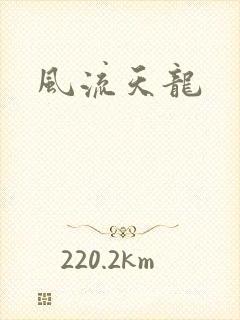 风流天龙