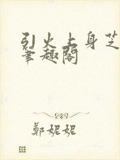引火上身芝麻糖笔趣阁