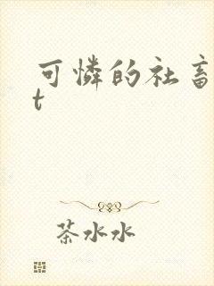 可怜的社畜txt