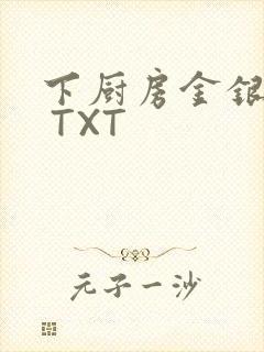 下厨房金银花露 TXT