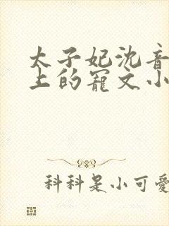 太子妃沈音和皇上的宠文小说