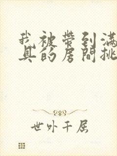 我被带到满是玩具的房间挑调游戏