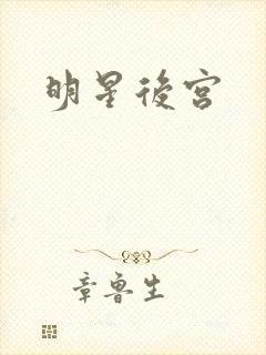明星后宫