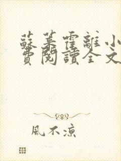 苏莱霍离小说免费阅读全文封面