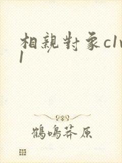 相亲对象c1v1