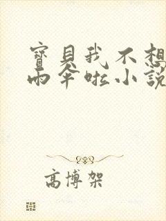 宝贝我不想带小雨伞啦小说封面
