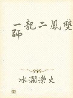 一龙二凤双飞老师